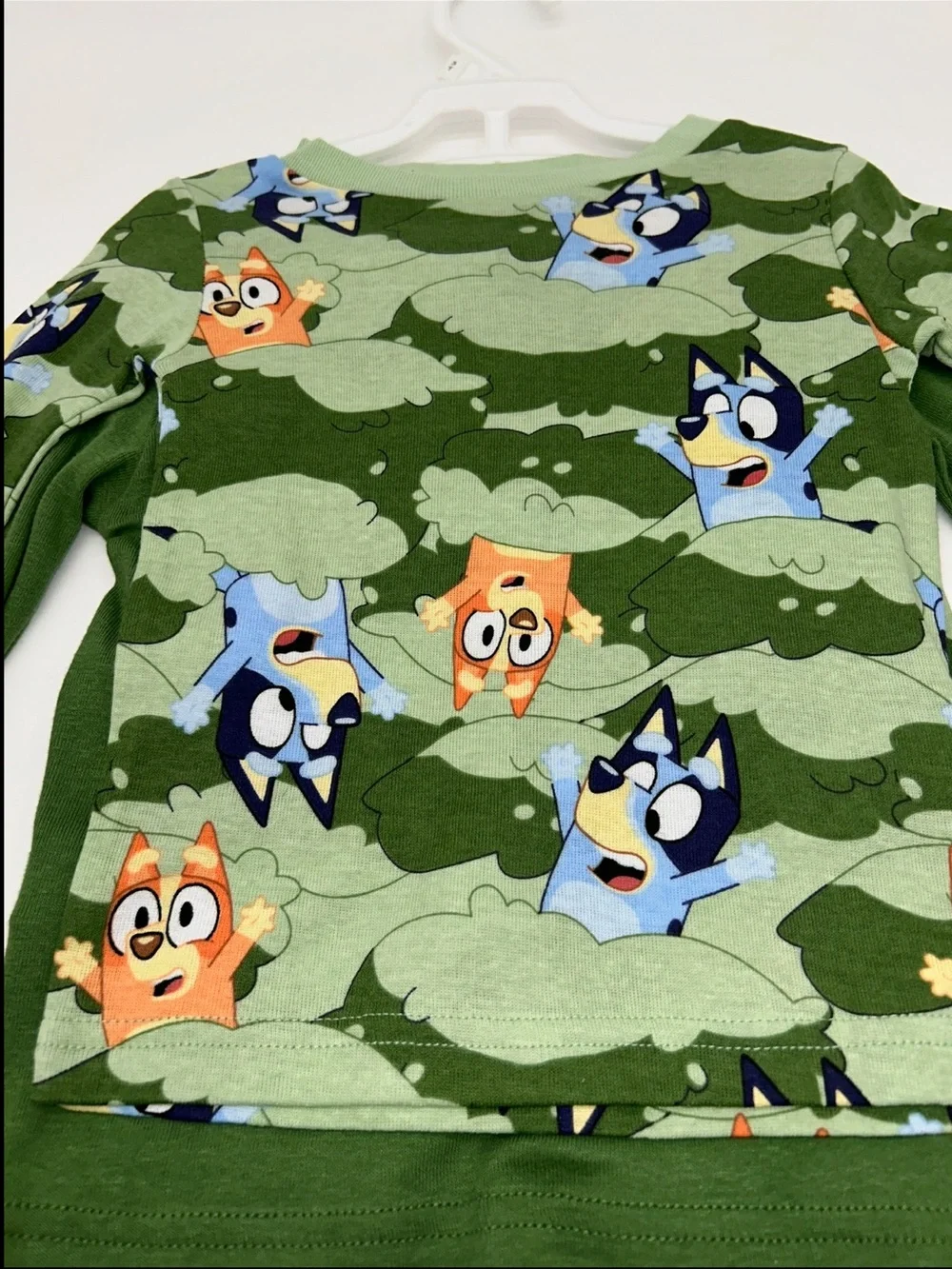 Bluey soft green